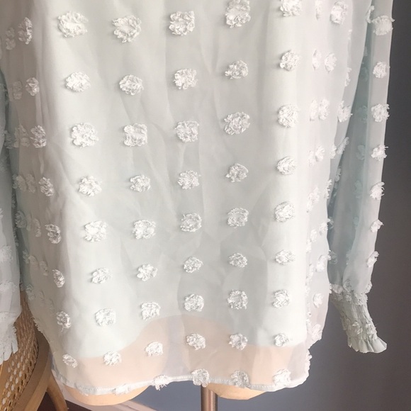 NWOT aqua blue sheer mesh lined Swiss dot long sleeves pull over top size L - Picture 11 of 11